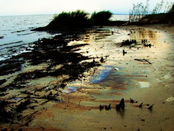 Ocean Springs, Mississippi, photo by Sylvia Anderson